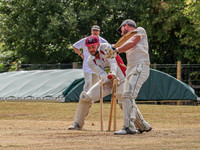 Cricket