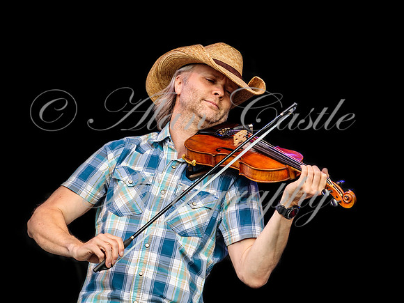 Violin 5
